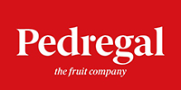 El Pedregal
